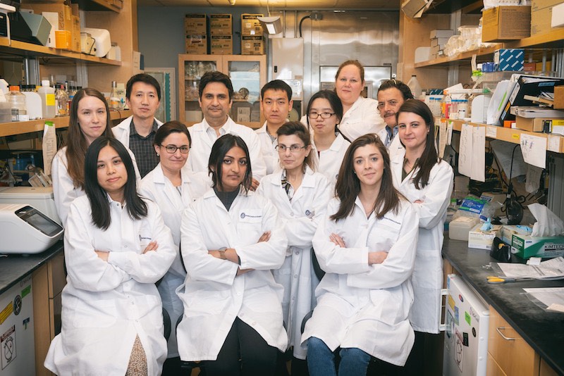 Genetic detectives in the Gene Discovery Core team and Agrawal Lab