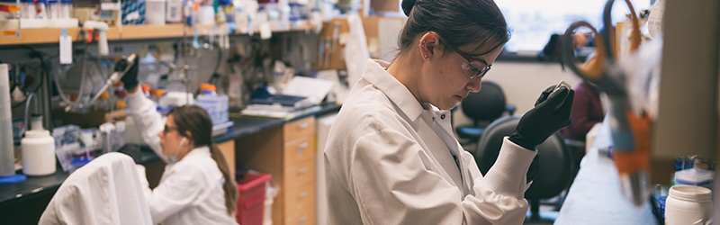 A group of students in white lab coats work in a lab.