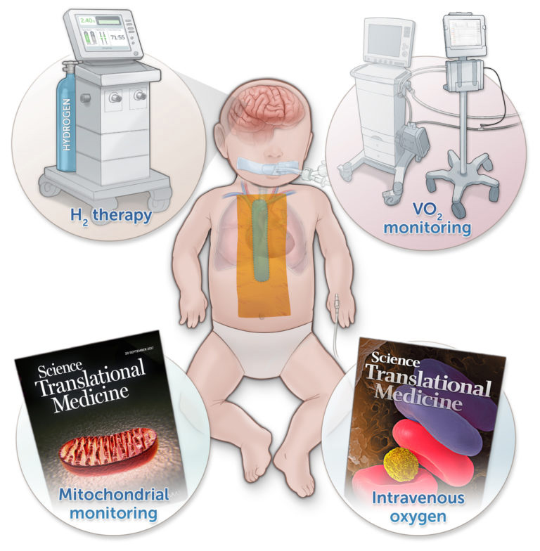 Translational Research Lab "Inhaled neuroprotectants during cardiac arrest" study illustration