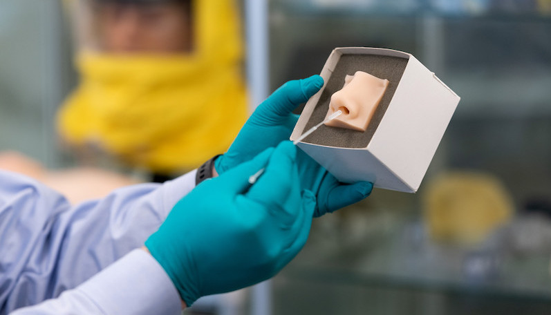 A clinician inserts a 3-D printed nasal swab into a prosthetic nose.