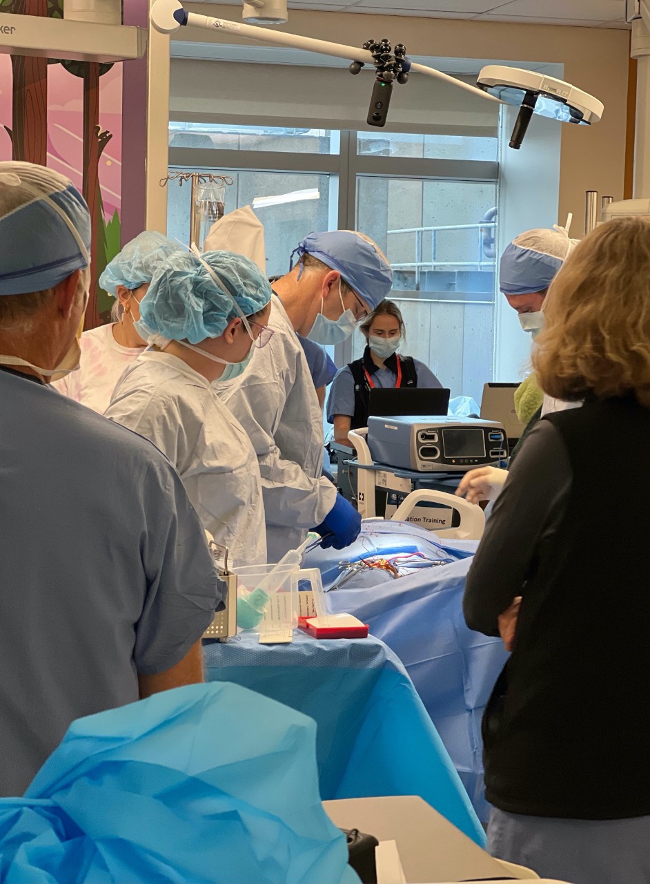 Doctors overlook the simulation table.