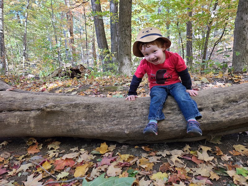 Little boy sits on log in wooded area