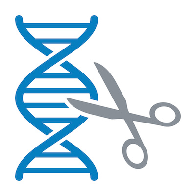 Illustration: Scissors cutting genes