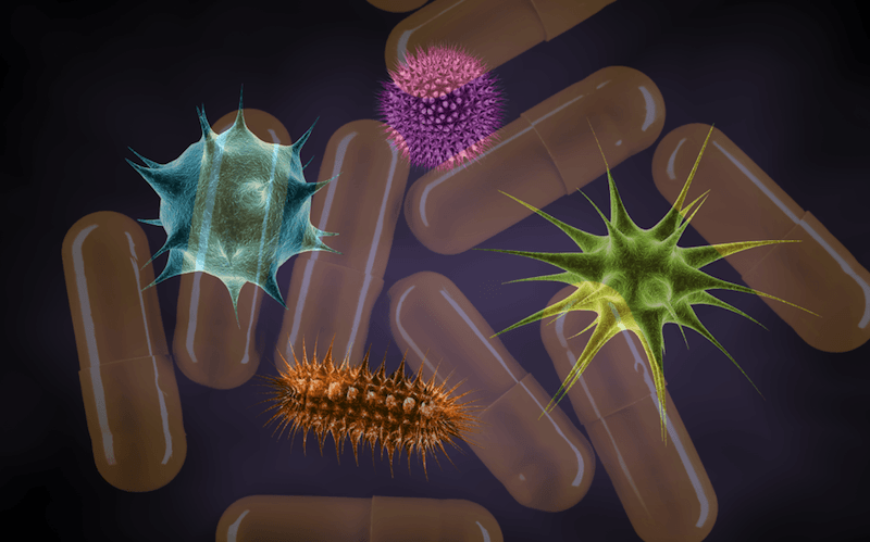 Known colloquially as the “poop pill,” or “stool transplant,” FMT harnesses growing knowledge about the gut microbiota, the collection of bacteria and other microbes that populate our GI tract.