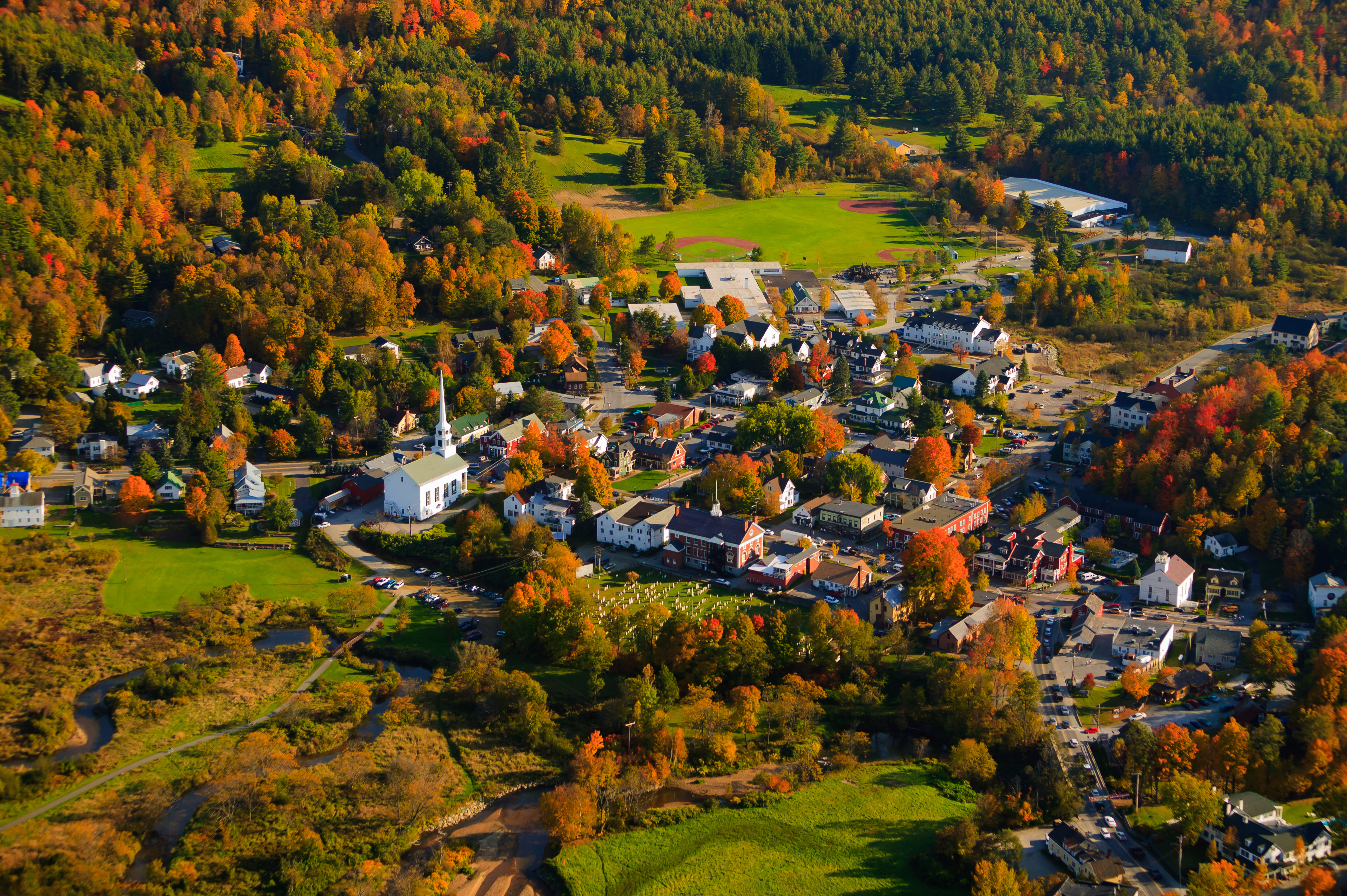 an idyllic village in a forest. 