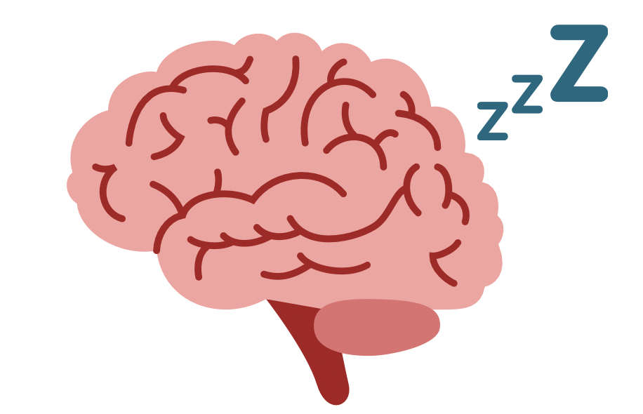 an illustration of a pink brain with three Z's symbolizing sleep.