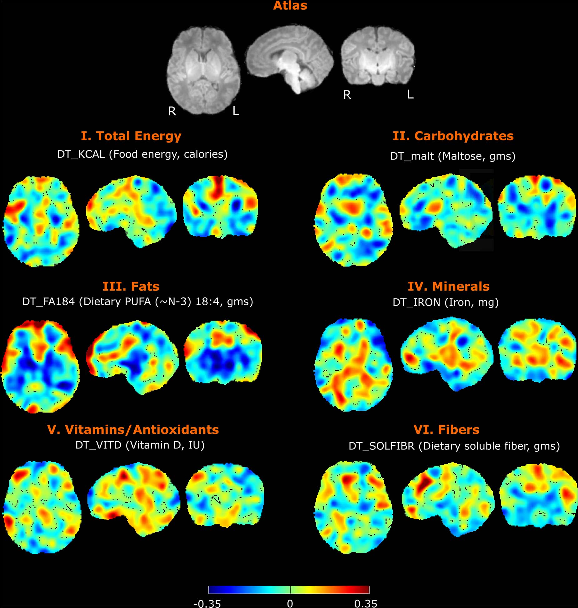 CHD-Nutrition-and-Neurodevelopment