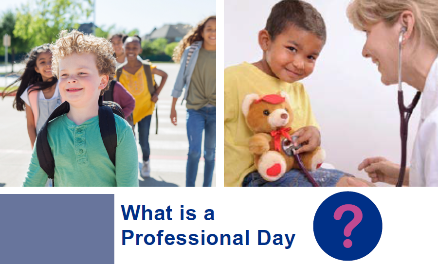 download Professional Day program booklet
