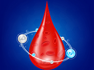 Blood drop illustration with red blood cells