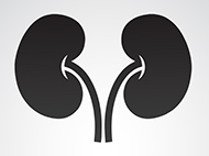 black and white kidneys