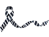 ribbon with zebra print