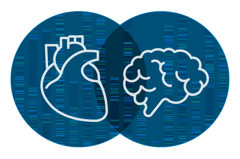 Illustrations of heart and brain inside overlapping blue circles.