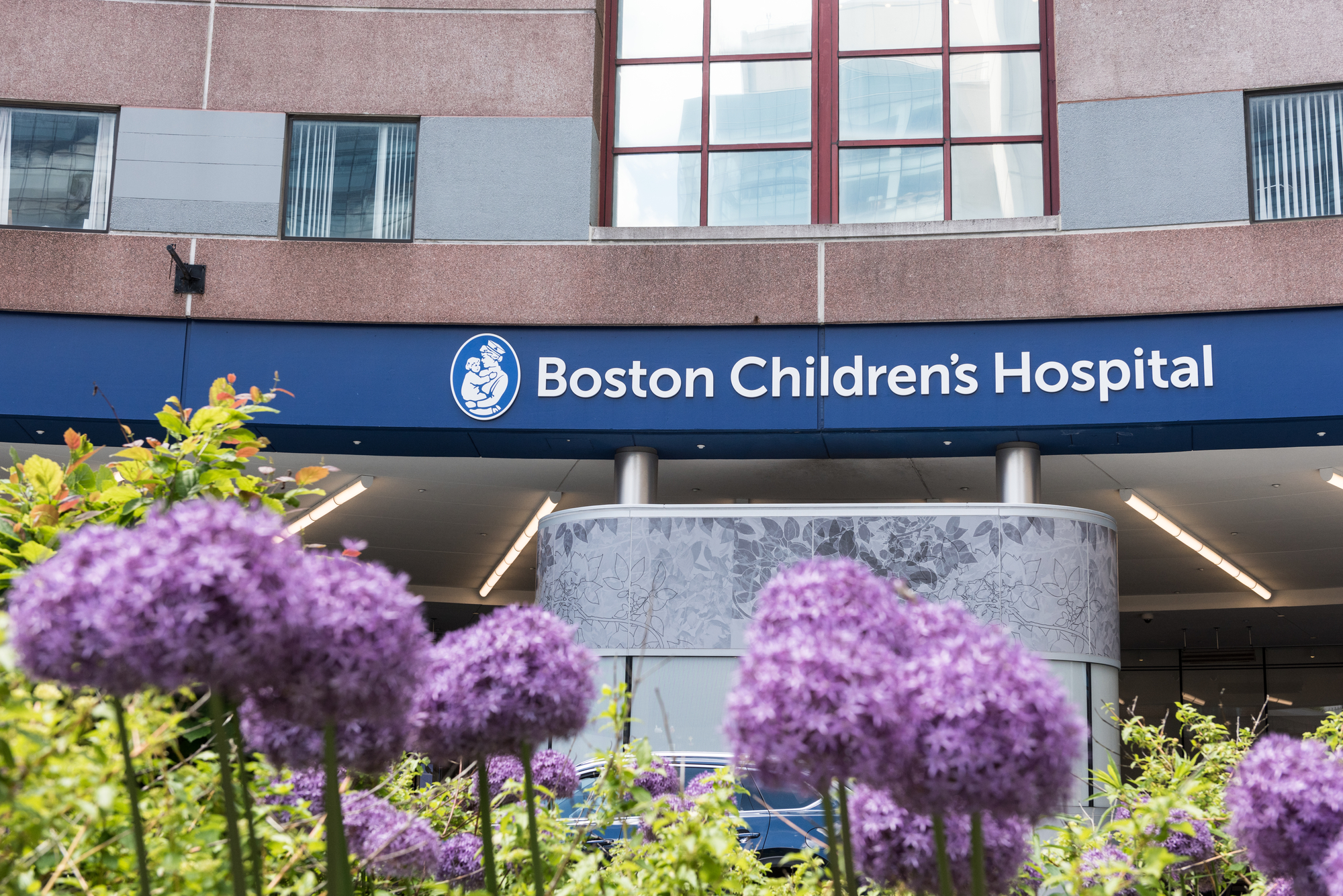 Flowers grow outside the main entrance to Boston Children's Hospital