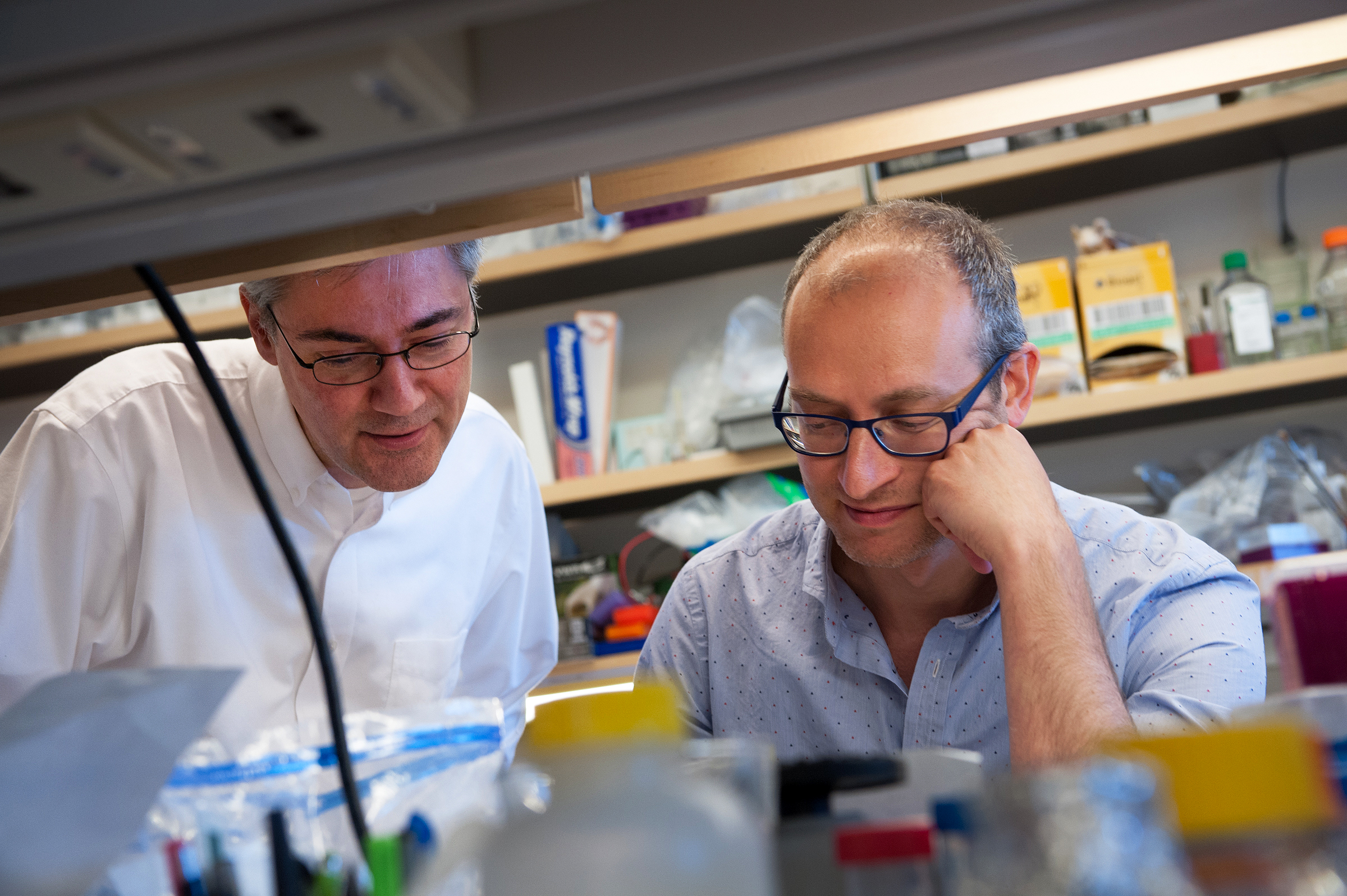 Researchers look down toward desk in lab