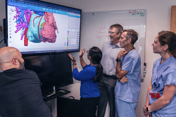 Clinicians stand in front of screen with heart model