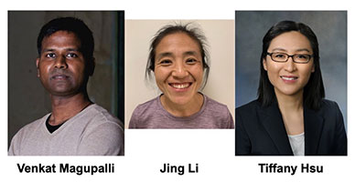 PCMM researchers win Career Development Awards