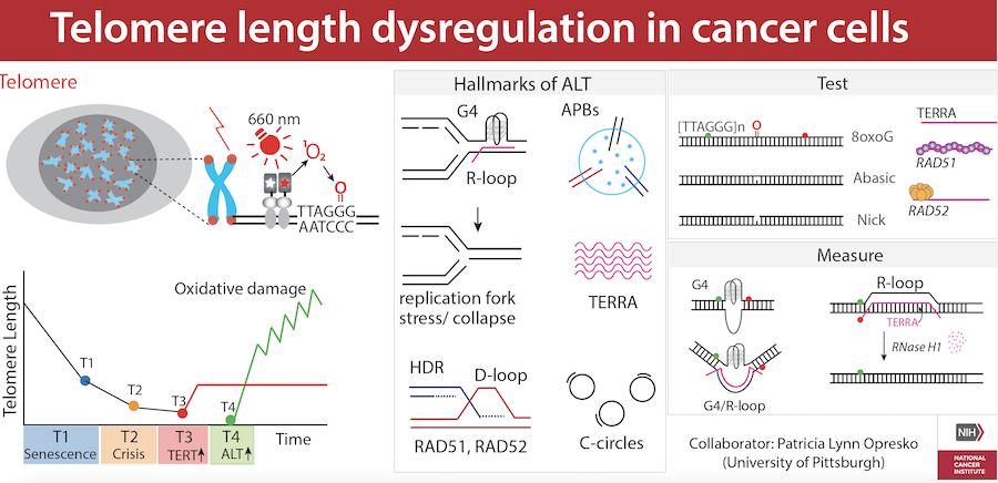 illustration of phase separation in neurodegenerative diseases