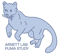 PUMA study logo