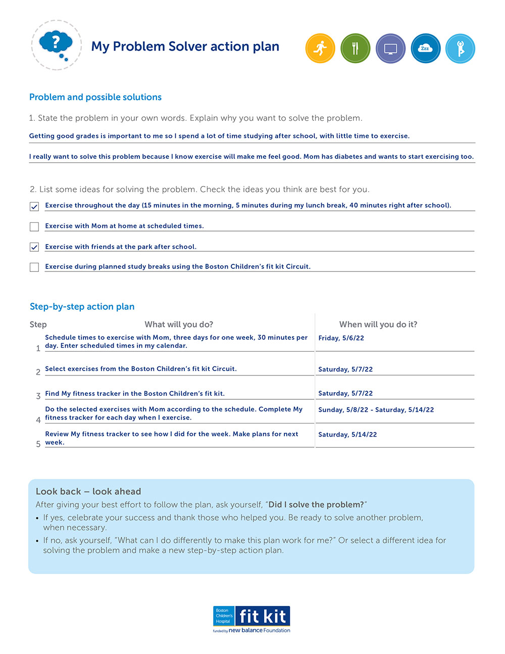 Problem Solver Action Plan Sample