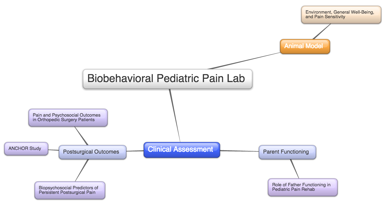 Christine Sieberg - Current Lab Projects