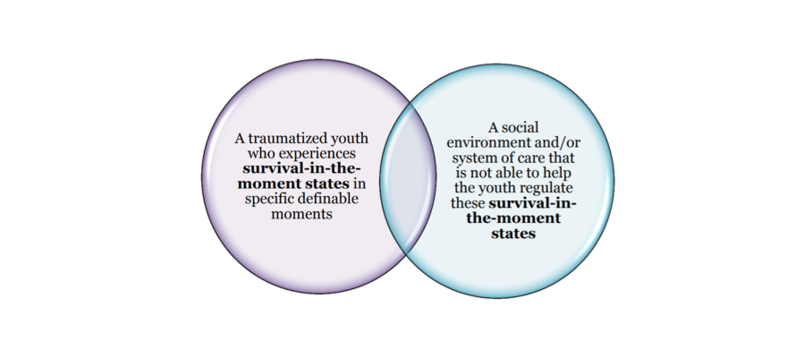 A traumatized youth who experiences survival-in-the-moment states in specific definable moments vs. a social environment and/or system of care that is not able to help the youth regulate these survival-in-the-moment states.