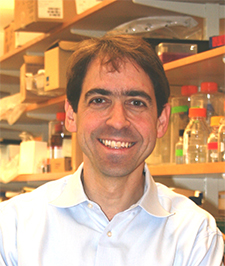 Peter Nigrovic, Precision Vaccines Program