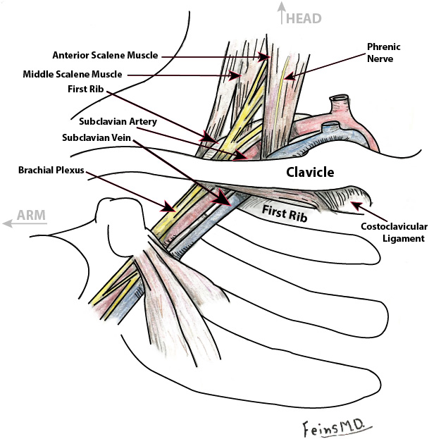 TOSDiagram101