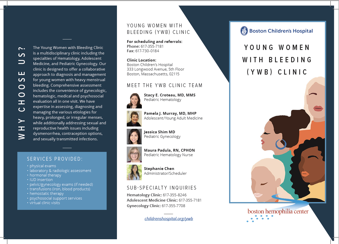 Cover of Young Women Bleeding Disorder Brochure
