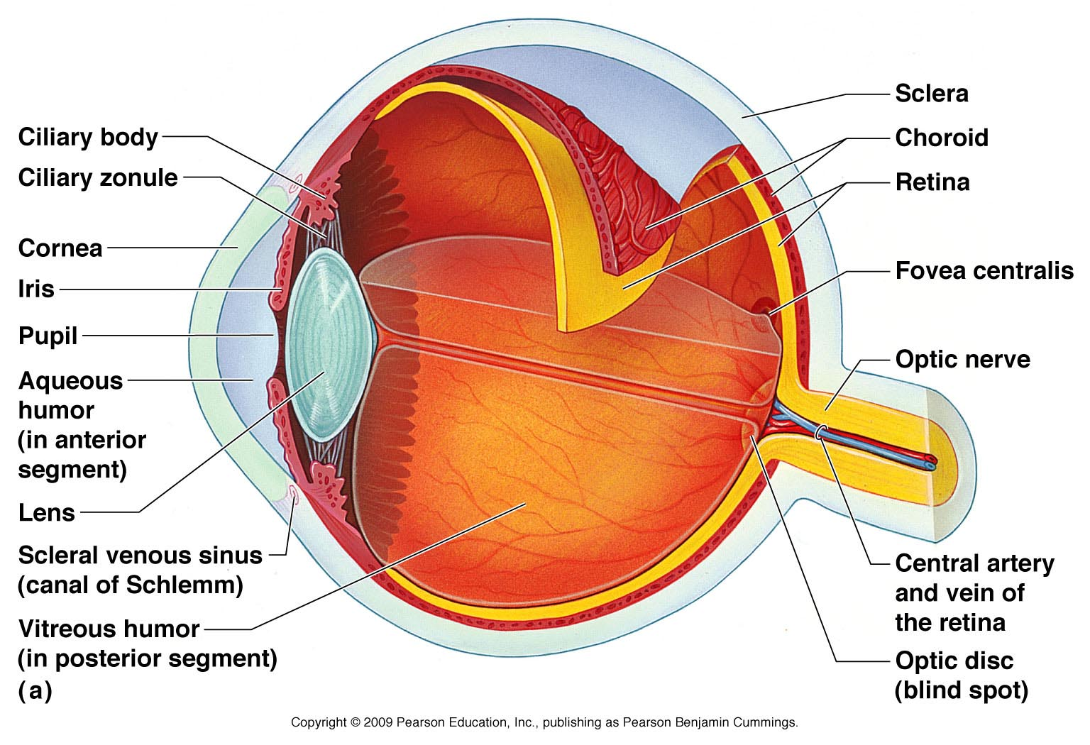 Eye Diagram