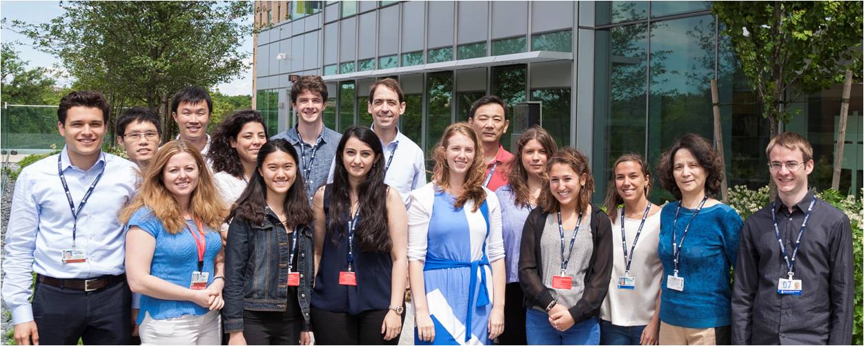 Nigrovic Lab 2017 team photo
