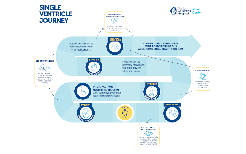 A patient's journey through the Boston Children's Hospital Single Ventricle Program.