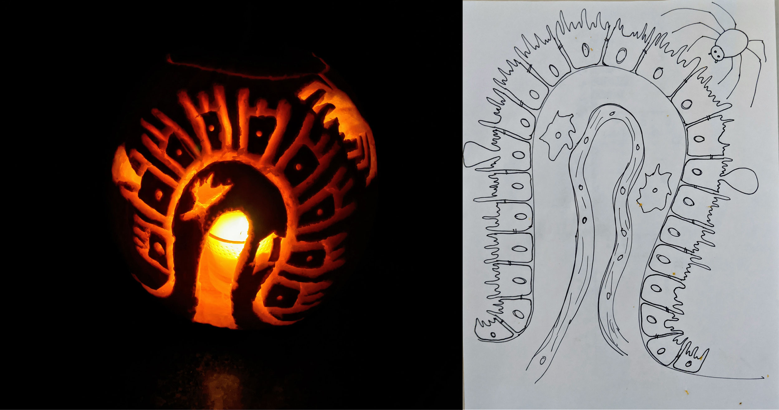 Yael Courtney - Pumpkin Carving 2020