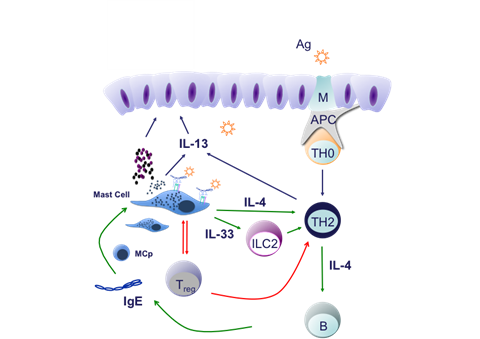 Hans Oettgen Lab Image