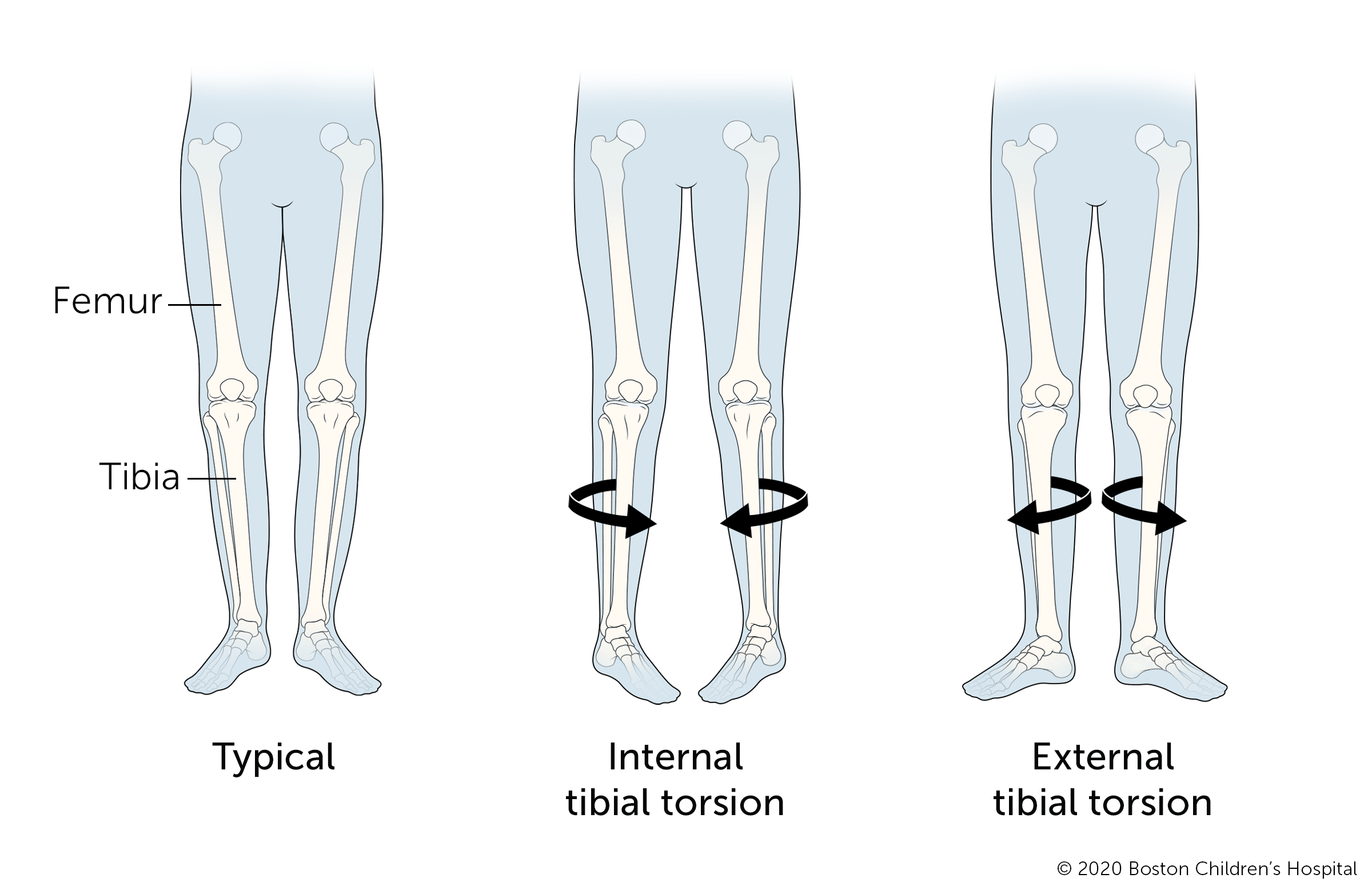 BAT: How does speed work in Tibia? - Part 1: Theory - TibiaLD