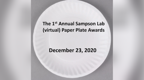 Paper plate award.