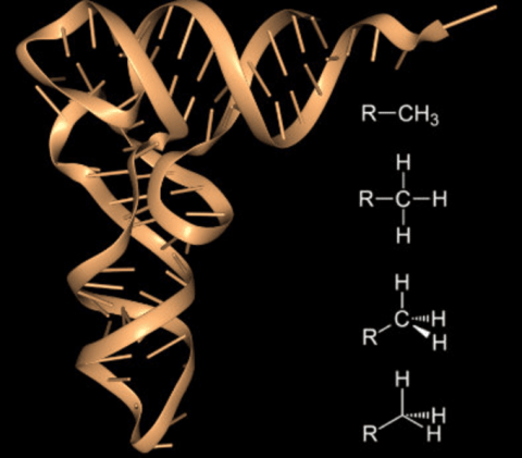 an image of a tRNA strand, gold image on a black background.