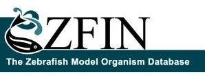 Logo: ZFIN: The Zebrafish Model Organism Database