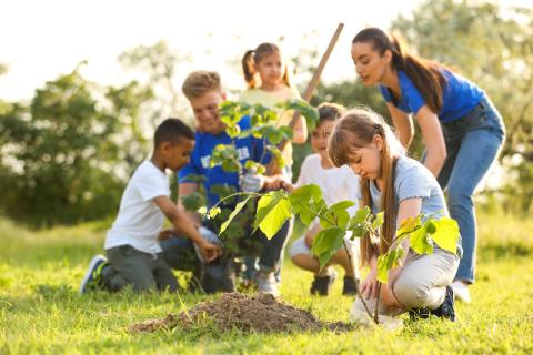 kids and parents planting young trees