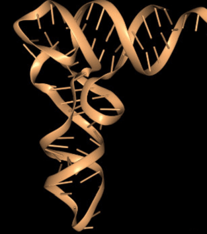 tRNA without chemical image on black background.
