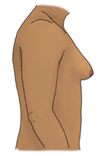 illustration of male body from side perspective with pointed, enlarged breasts