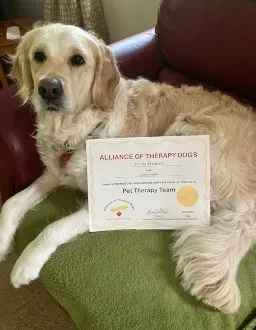 Dog lay on couch, with training certificate in front of them