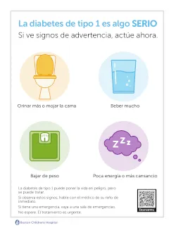 Type 1 diabetes fact sheet in Spanish