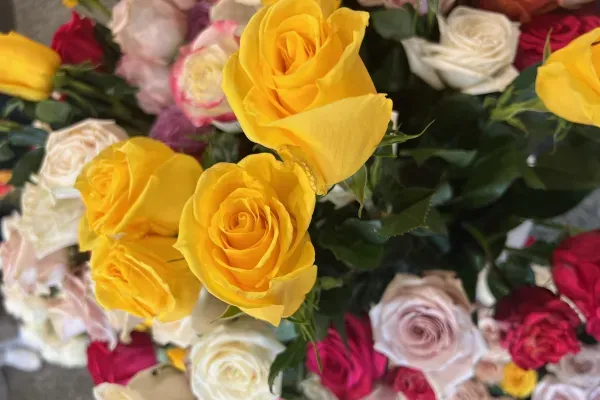 Bouquet with various types of flowers