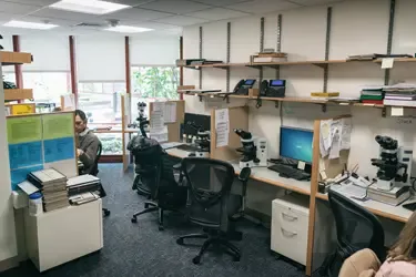 office setting with computer, desk, and chair