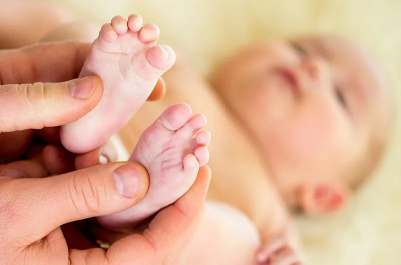 stock image of adult hands holding infant's feed