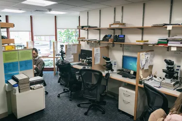 office setting with computer, desk, and chair