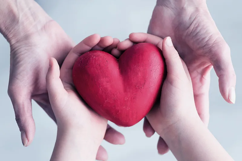 Young child holds model of a heart in his hands, with adult's hands underneath providing support.