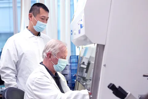 Researchers peer into microscope